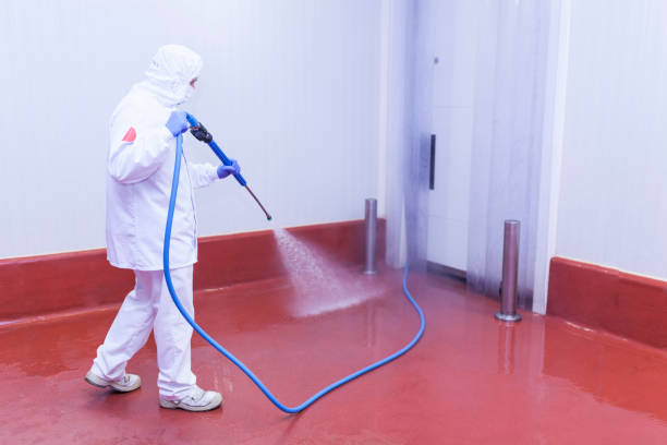 Best Paint Preparation  in Argos, IN