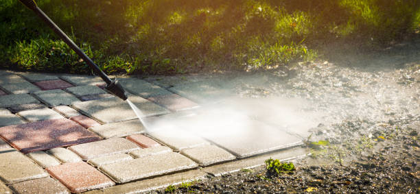 Best Roof Washing  in Argos, IN